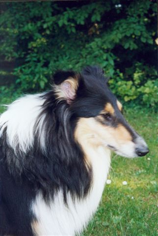 Florian016.jpg (29892 Byte)
