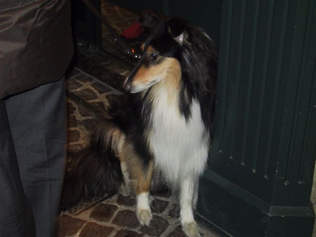 Florian028.jpg (32394 Byte)