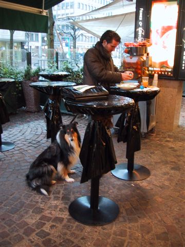 Florian069.jpg (42109 Byte)