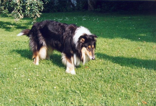Florian152.jpg (77167 Byte)