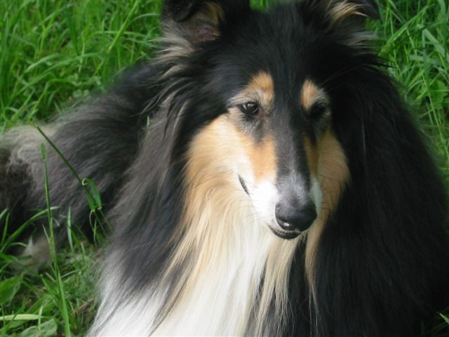 Florian160.JPG (46884 Byte)