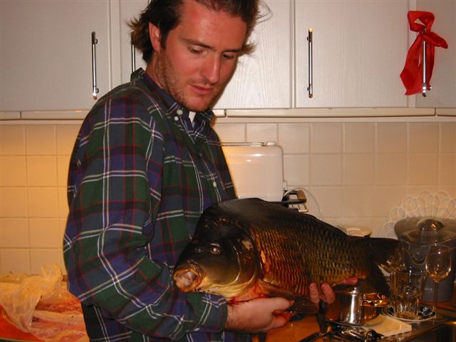 Florian166.JPG (48709 Byte)